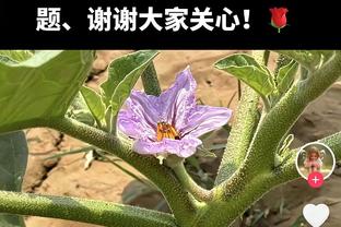 范弗里特谈失利：不会过度反应 要能够放下并继续前进